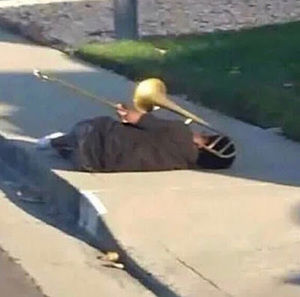 Meet your Posher, Layla